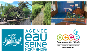Pic